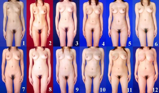 Types of boobs