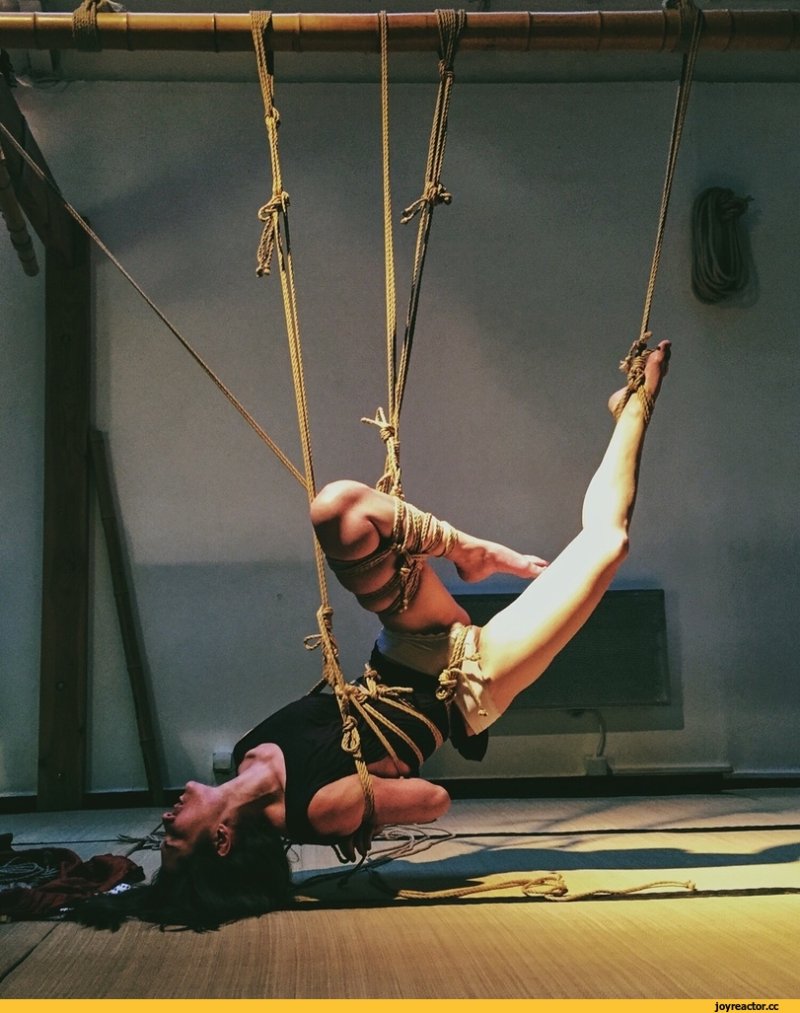 Pic: Shibari with suspension