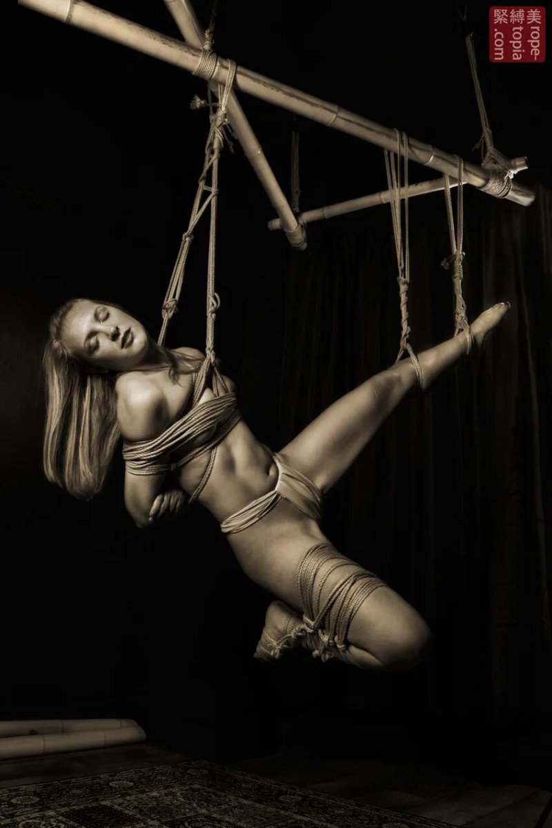 Pic: Shibari with suspension