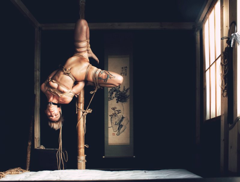 Pic: Shibari kinbak