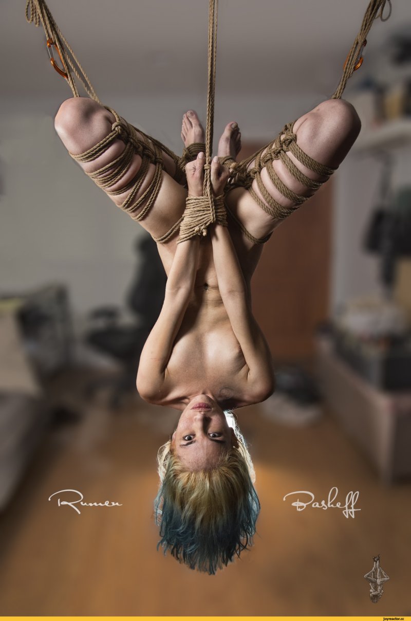 Pic: Shibari suspension