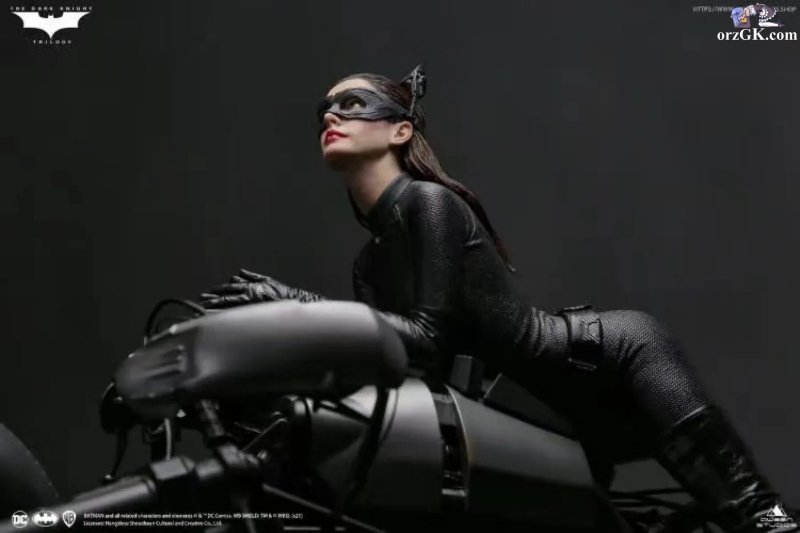 Pic: Selina Kyle Anne Hathaway