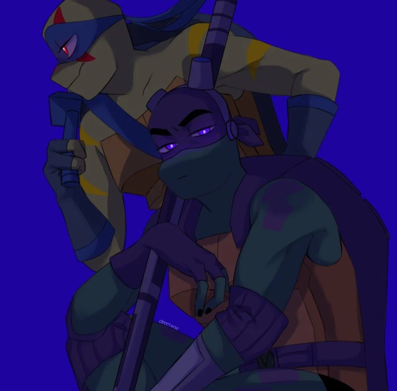 Pic: Rottmnt Donny and Leo