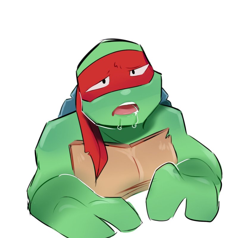 Pic: Rafael Ninja Turtle