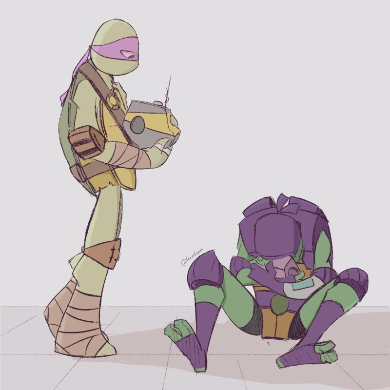 Pic: Rottmnt Leo X Donnie