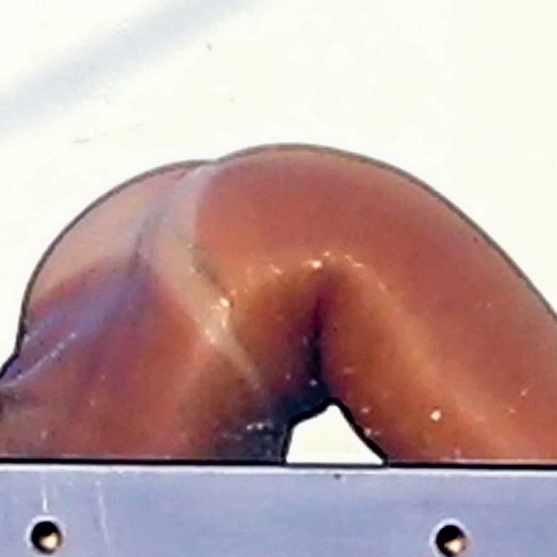 Rihanna ass