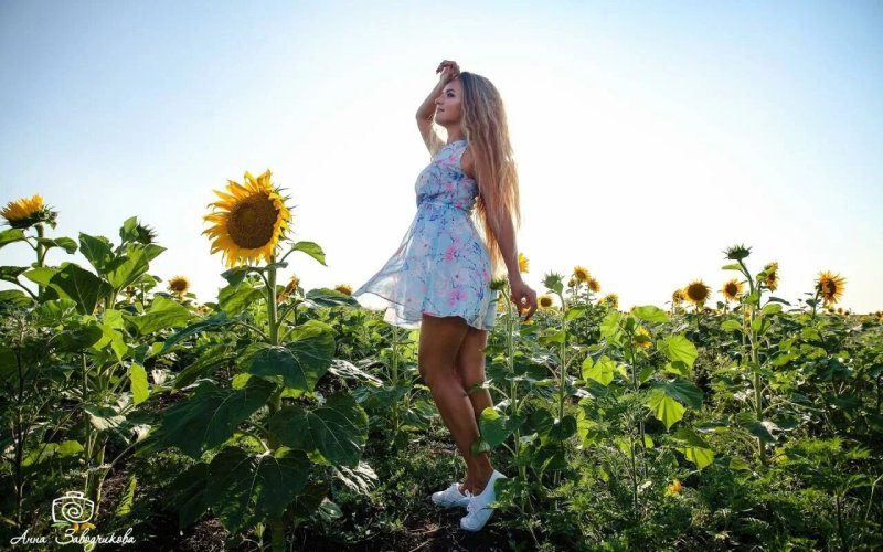 Photo shoots with sunflowers