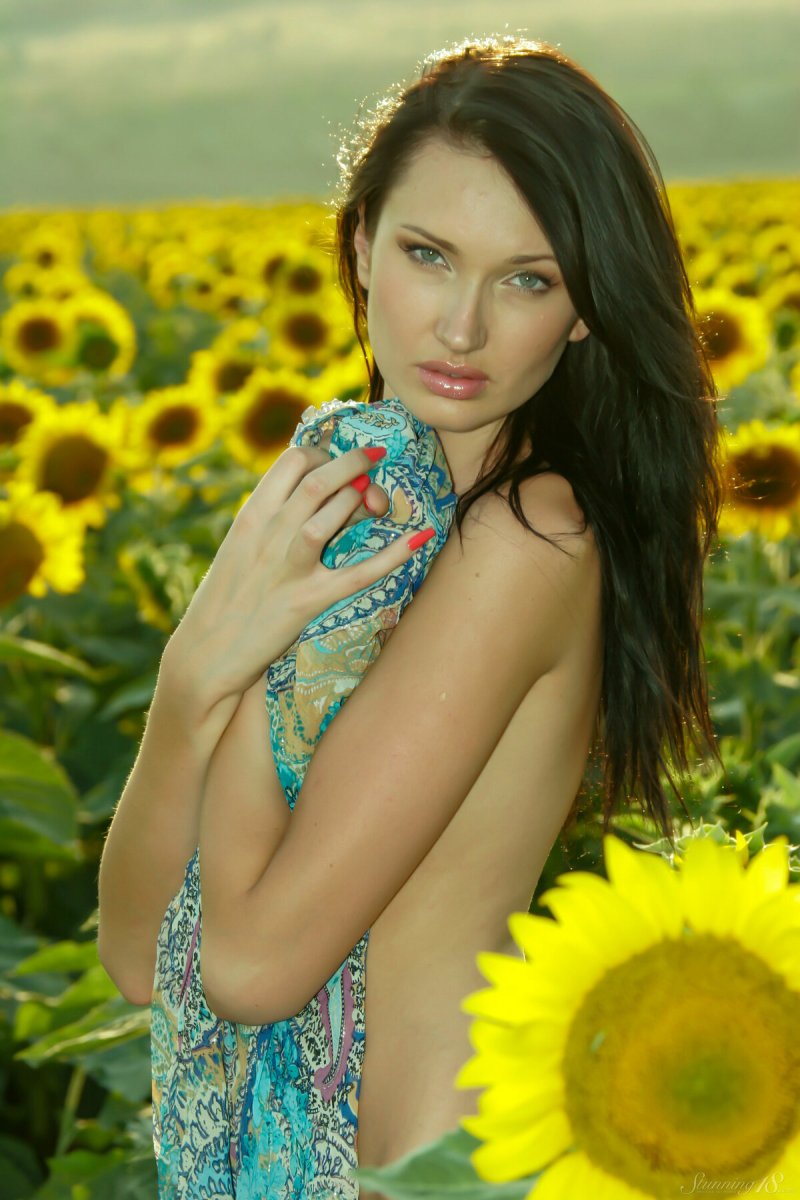 Pic: Sunflower Field