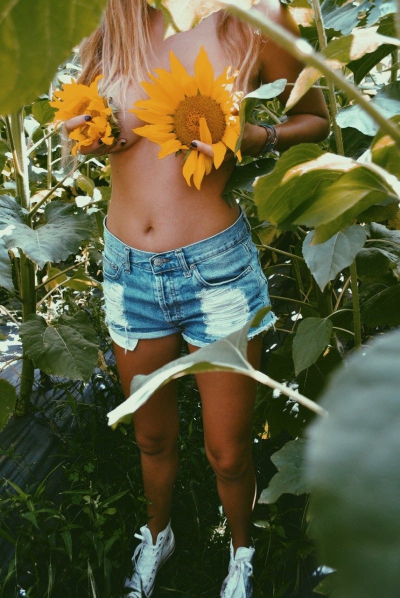 Pic: Girl in sunflower