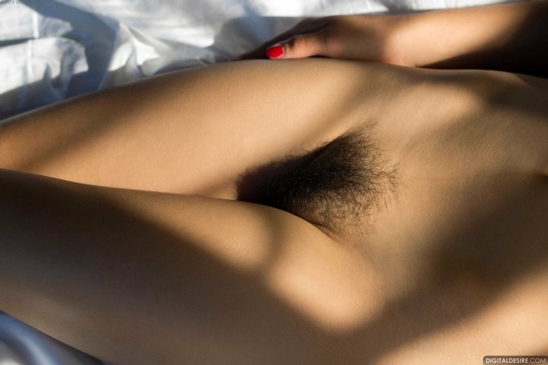 Beautiful hairy pubis