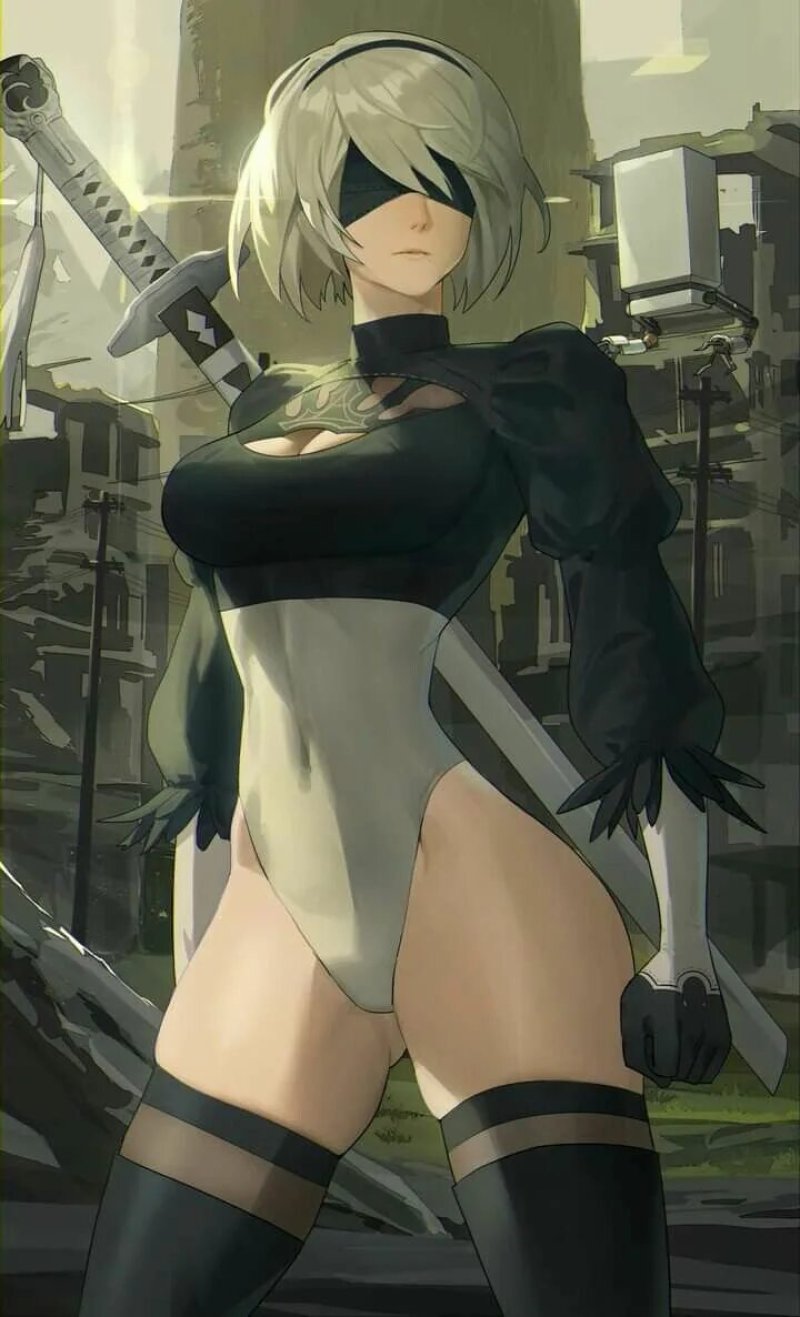 Pic: Nier Automata anime