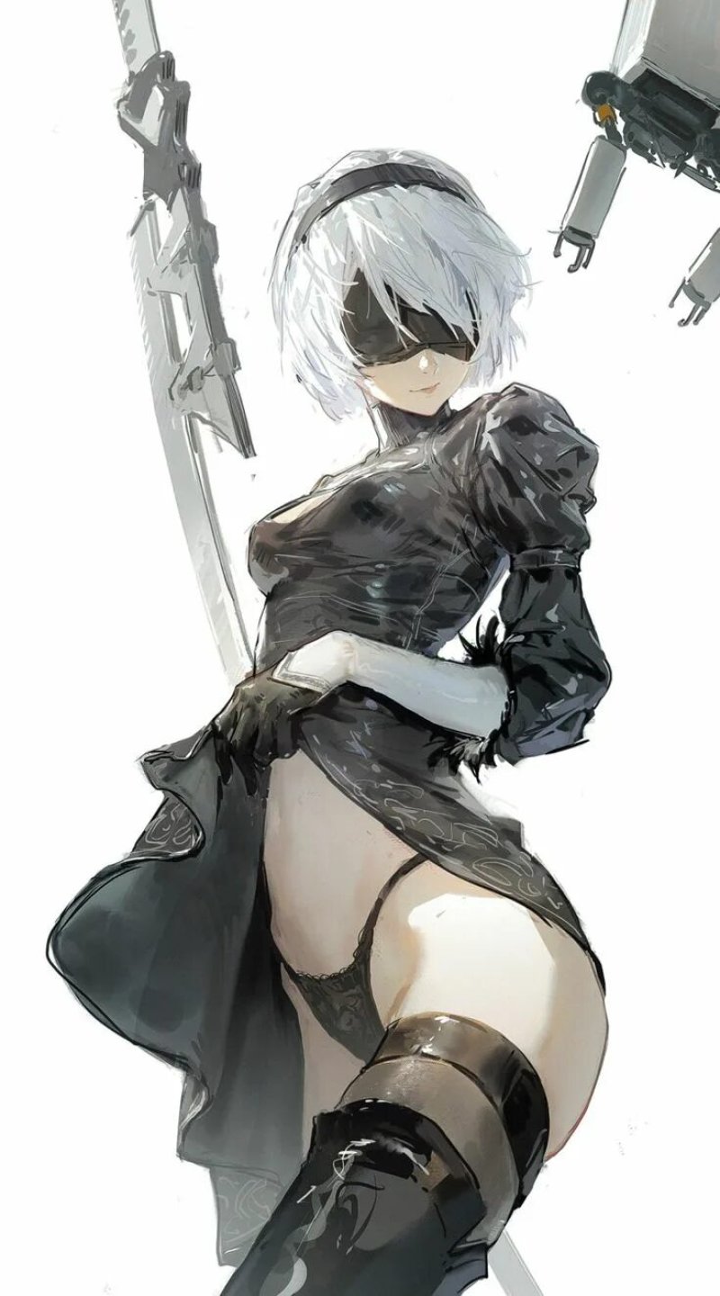 Pic: Nier Automata Anime