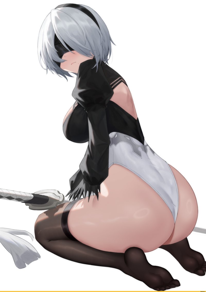 Pic: Game Nier Automata