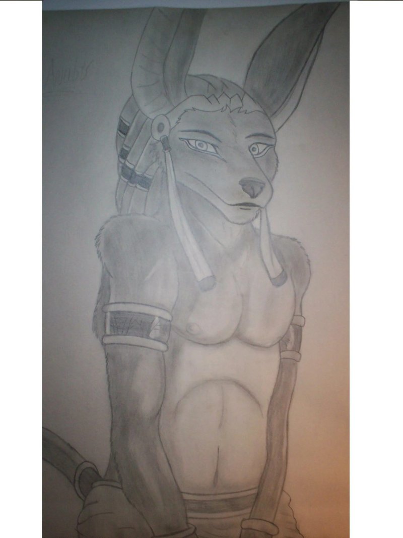 Anubis drawings