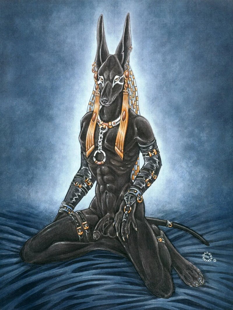 God Anubis