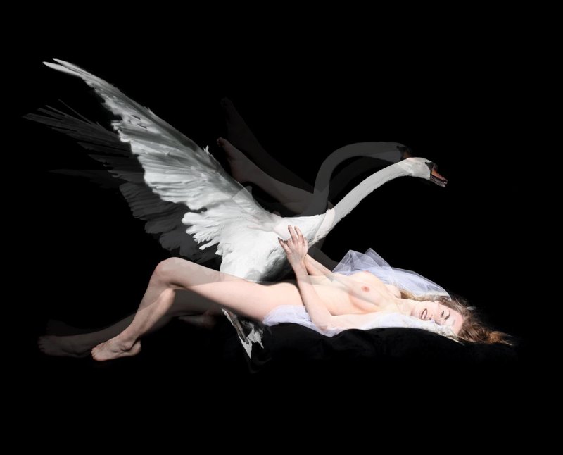 Pic: Leda and Swan