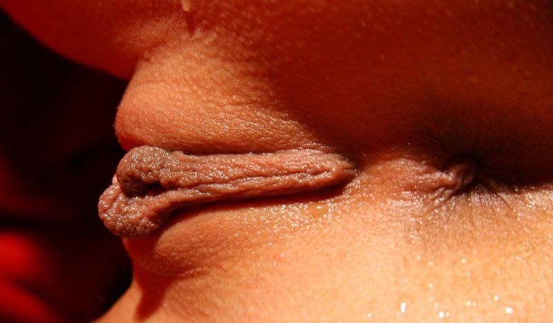 Pic: Beautiful erotica close -up