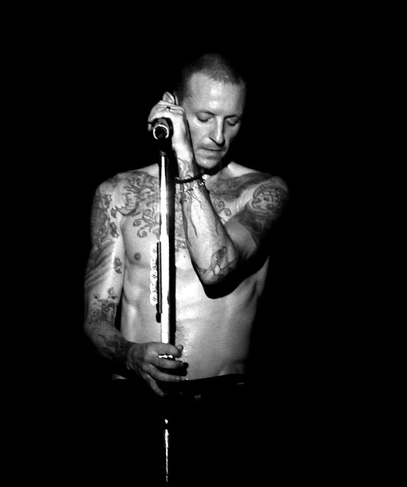 Soloist Linkin Park Chester