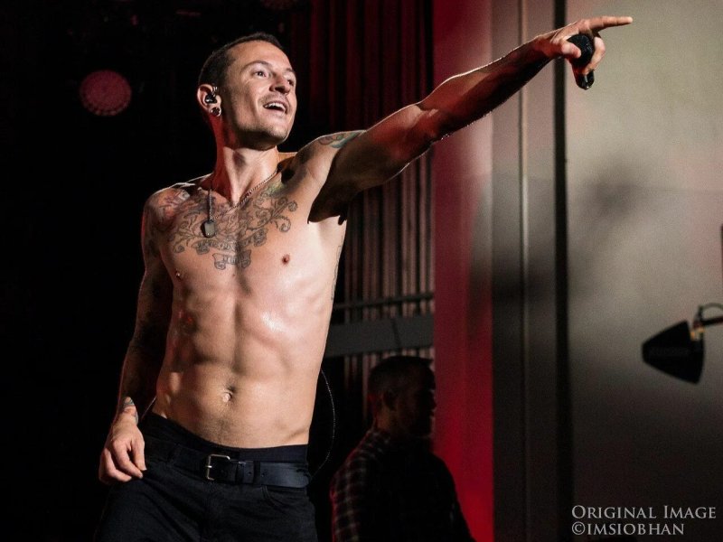 Soloist Linkin Park