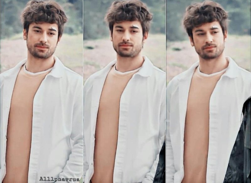 Alp Navruz