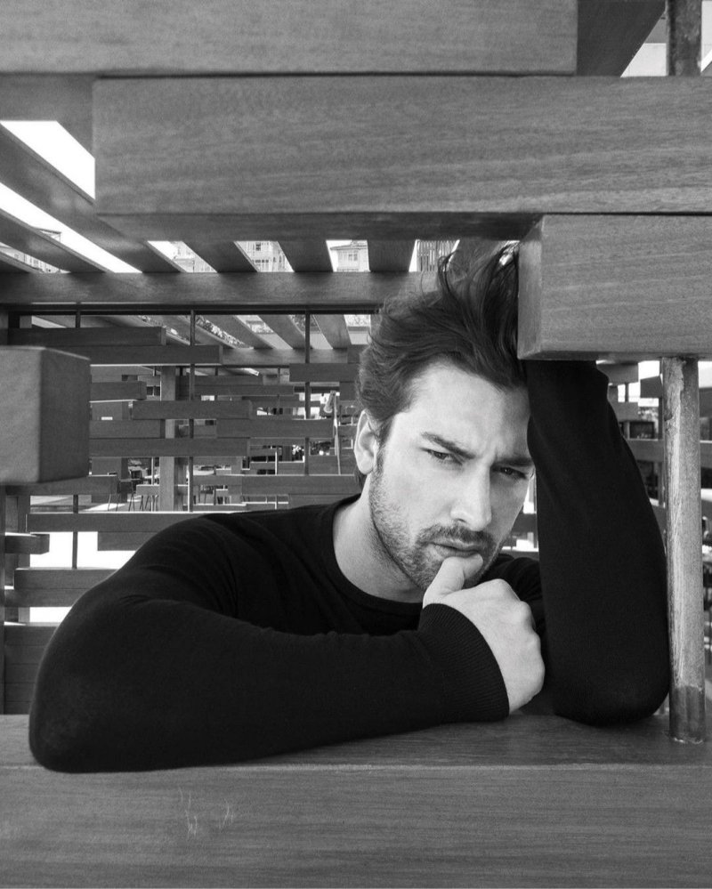 Alp Navruz
