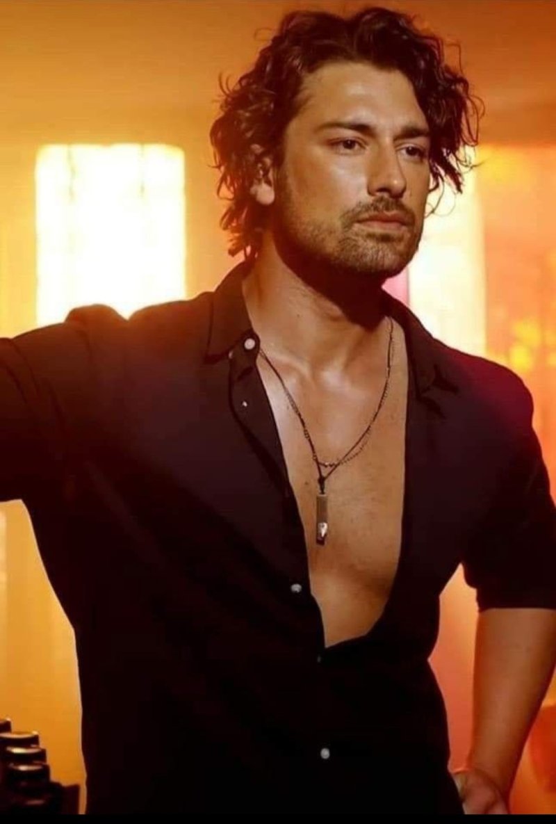 Alp Navruz Turkish actor