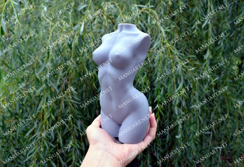 Pic: Silicone torso form female