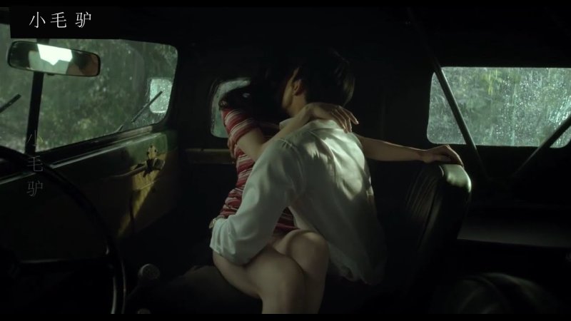Sex in the car