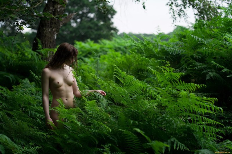 Naked in the bushes