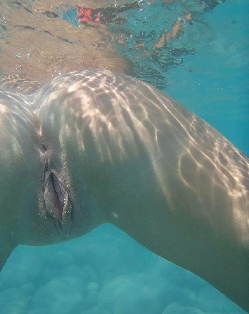 Pic: Naked girls underwater