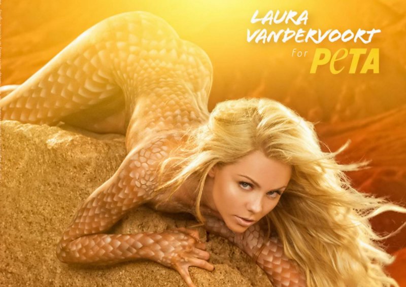 Laura Vanderwurt