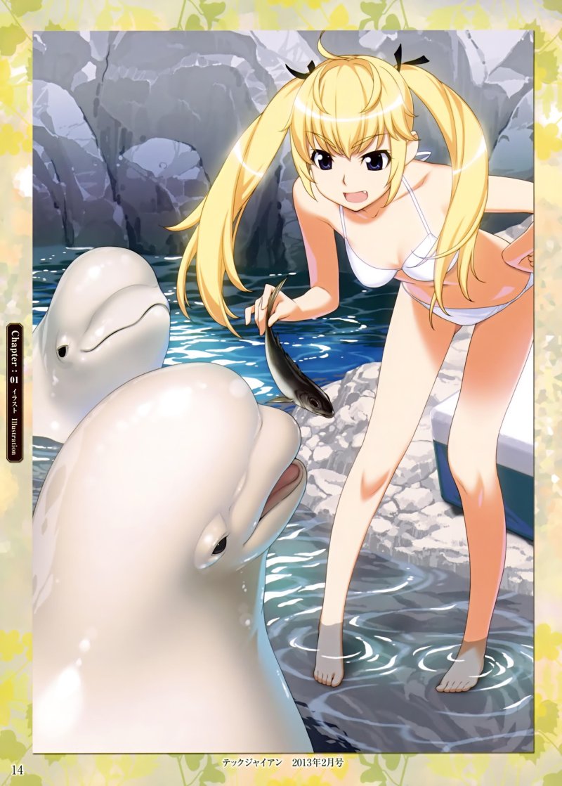 Anime in swimsuits