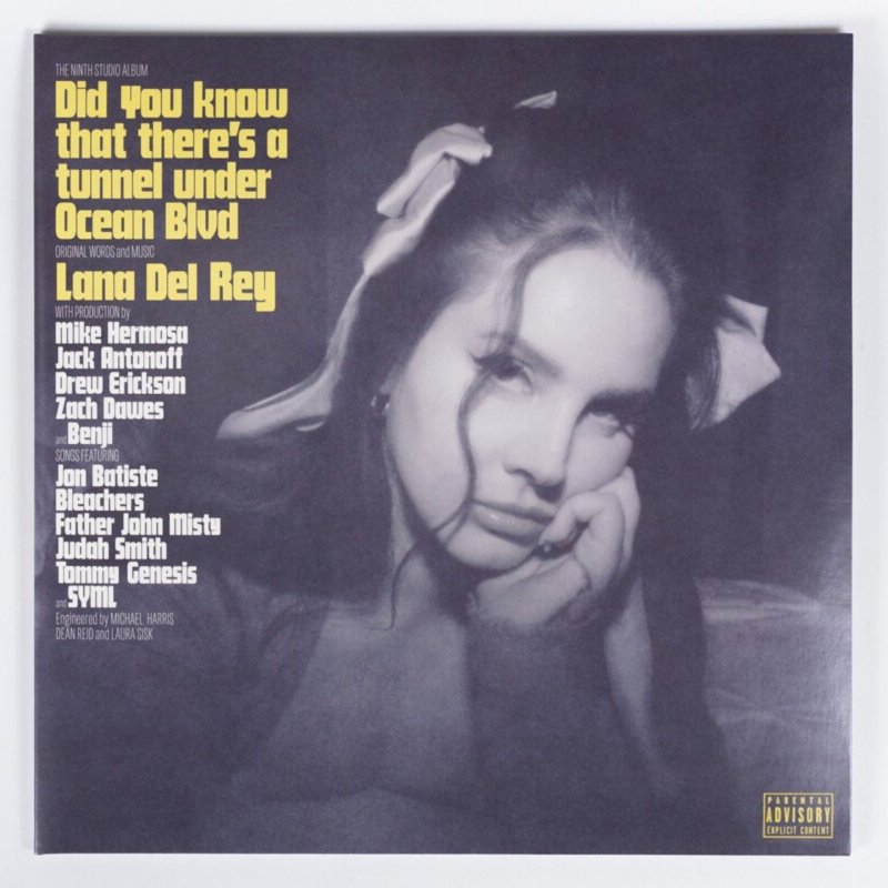 Vinyl plate Lana Del Rey Vid You Know