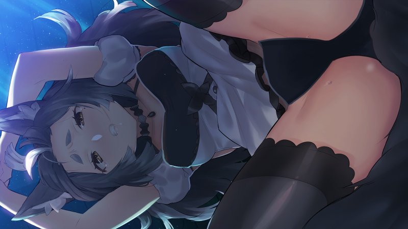 Wolf tails Hentai Scenes