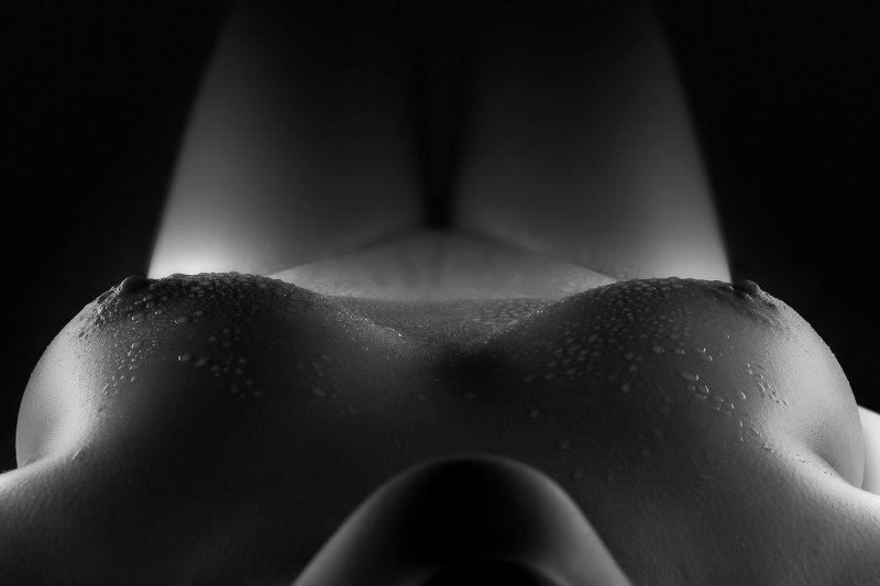 Erotica is large