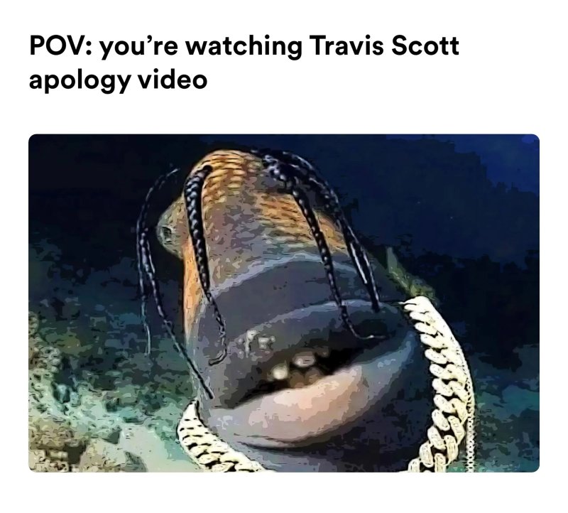 Fish Travis Scott