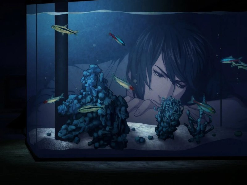 Joji Sweet Pool