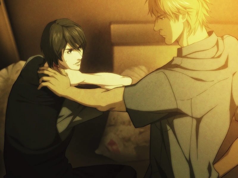 Yaoi novel