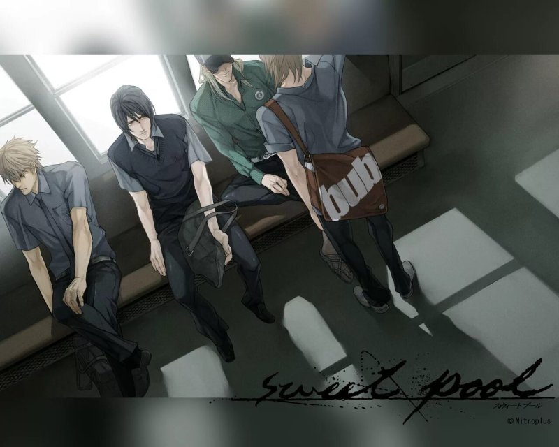 Yaoi novel