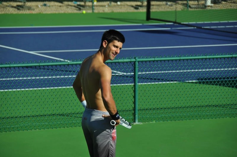 Novak Jokokovych Torsos