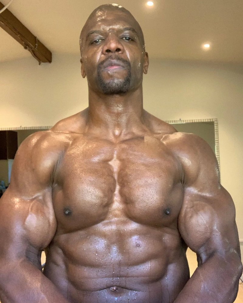 Terry Kryus