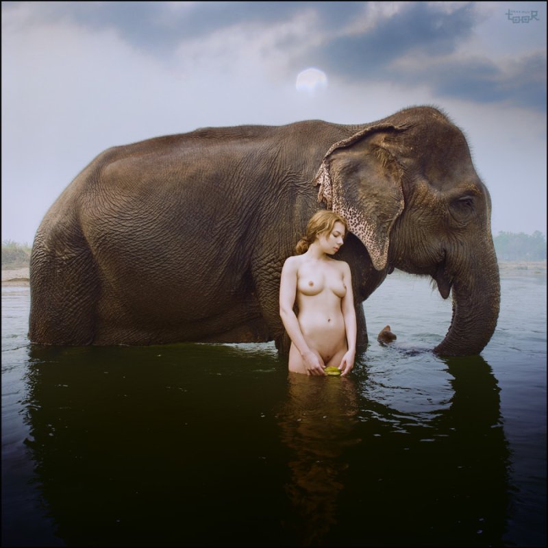 A woman on an elephant