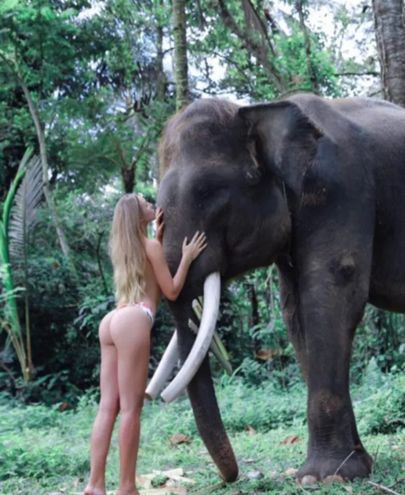 Alesa Kafelnikova on an elephant