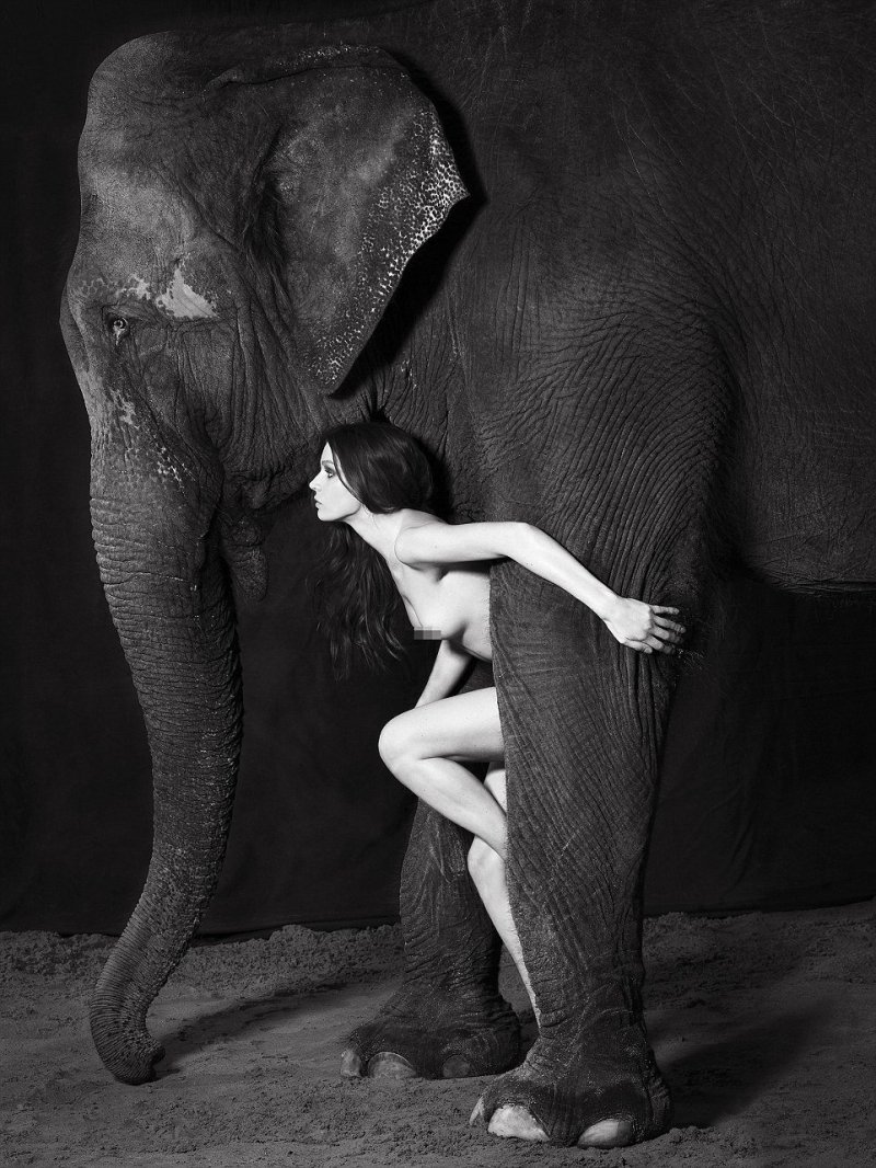 Naked photo shoot with an elephant