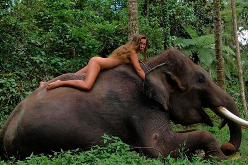 Girl and elephant