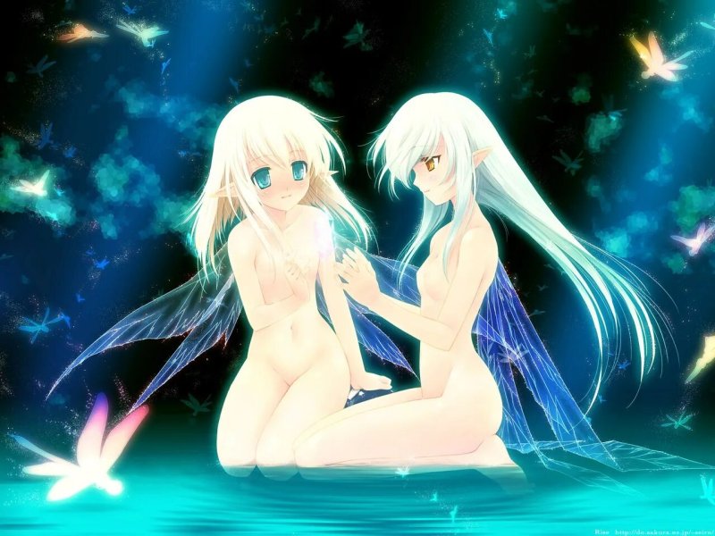 Anime Feii