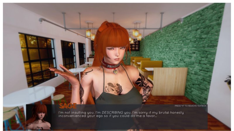 Porn game on PC