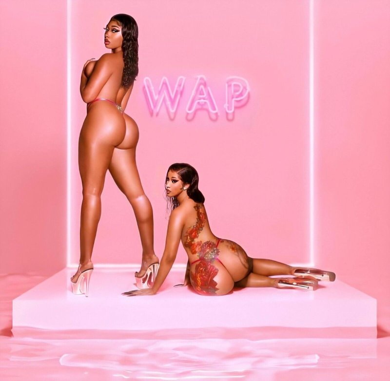 Cardi Bi and Megan Thee Stallion