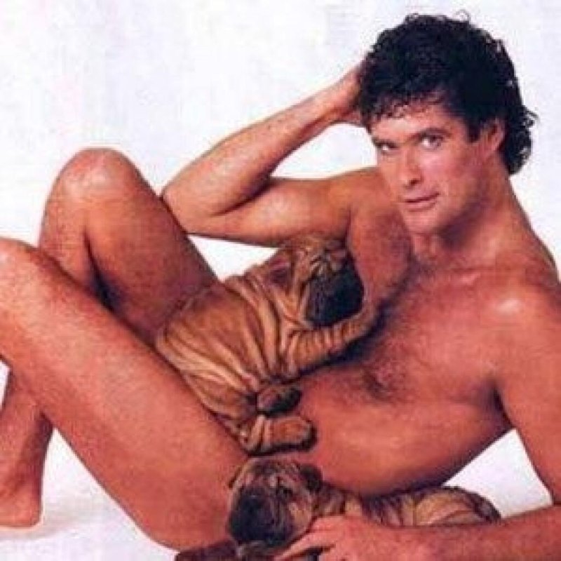 David Hasselhoff Naked