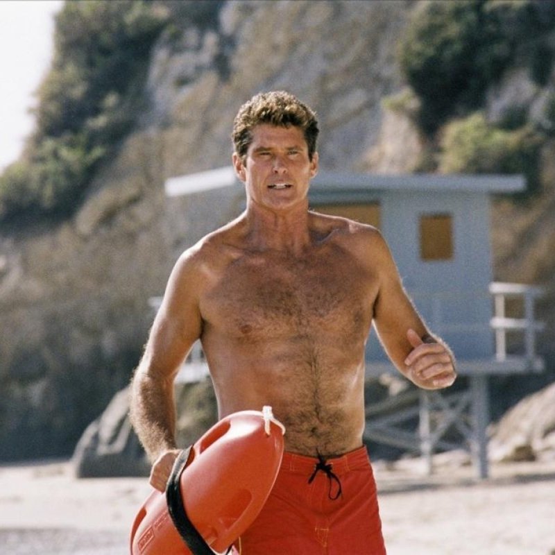 David Hasselhoff Rescuers Malibu